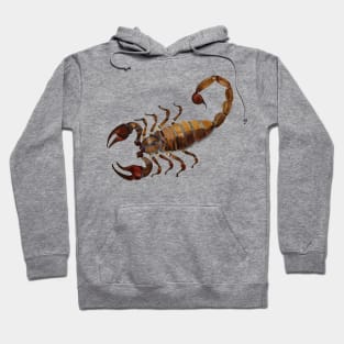 Scorpion Hoodie